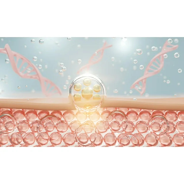 Vitalvibe Hydrolyzed Bovine Collagen Peptides – 22 Servings Grass-Fed, Vitamin C, Hyaluronic Acid & Biotin, Supports Skin, Hair, Nails & Joint Health – Unflavored, Easy to Mix (Copia)